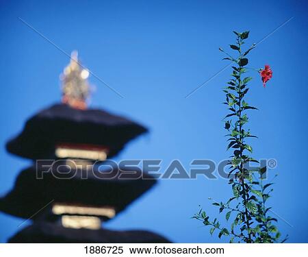 Stock Photography - Beskakih Temple Complex And Flower, Close Up. Fotosearch