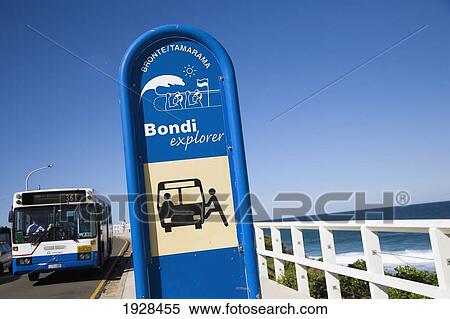 Between Bondi Beach And Bronte Beach View Large Photo Image Stock Photography - Between Bondi Beach And Bronte Beach. Fotosearch