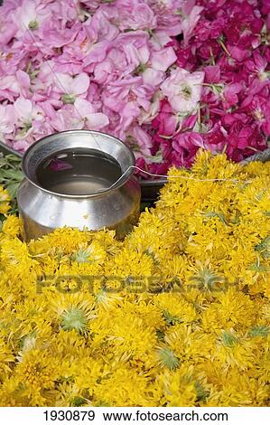 Bhavnagar, Gujarat View Large Photo Image Stock Photo - Bhavnagar, Gujarat. Fotosearch