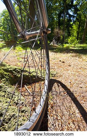 Bicycle In New Forest National Park View Large Photo Image Stock Image - Bicycle In New Forest National Park. Fotosearch