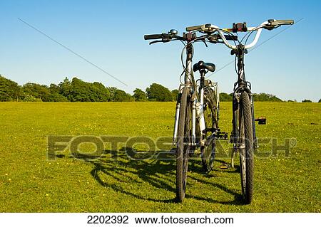 Bicycles In New Forest National Park, Hampshire, Uk View Large Photo Image Stock Image - Bicycles In New Forest National Park, Hampshire, Uk. Fotosearch