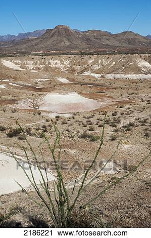 Stock Image - Big Bend National Park, Texas, Usa. Fotosearch