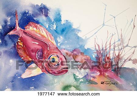 Big Eye Nassau Bahamas, Paradise Island, Nassau, Bahamas, Big Eye Squirrelfish Over Reef (Watercolor Painting). View Large Photo Image Stock Photo - Big Eye Nassau Bahamas, Paradise Island, Nassau, Bahamas, Big Eye Squirrelfish Over Reef (Watercolor Painting).. Fotosearch