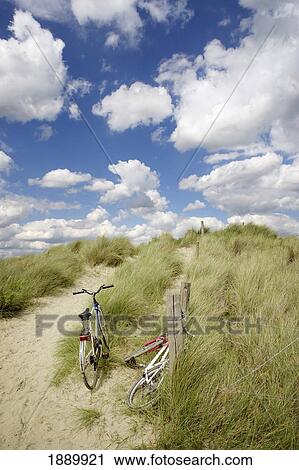Bikes Against A Fence In The Dunes View Large Photo Image Stock Image - Bikes Against A Fence In The Dunes. Fotosearch