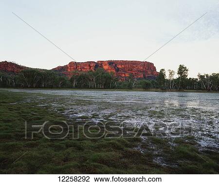 Stock Image - Billabong at sunset; Northern Territory, Australia. Fotosearch