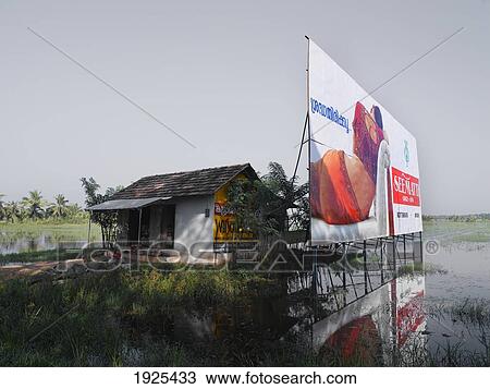Billboard By Rice Paddies, Kerala, South India View Large Photo Image Stock Image - Billboard By Rice Paddies, Kerala, South India. Fotosearch
