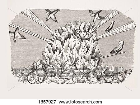 Stock Photo - Bird-Catching With A Machine Like A Long Arm. 19Th Century Reproduction Of Miniature In 14Th Century Manuscript Of Livre Du Roy Modus. Fotosearch