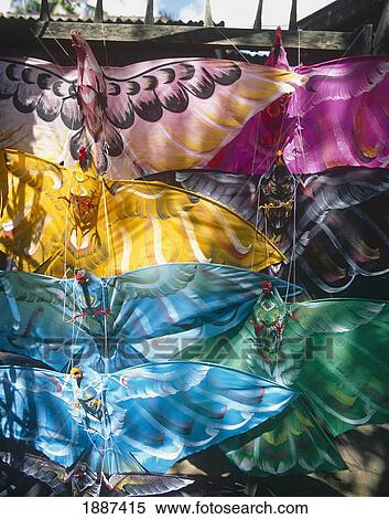 Bird-Like Kites On Sale In Market, Close Up View Large Photo Image Stock Photography - Bird-Like Kites On Sale In Market, Close Up. Fotosearch