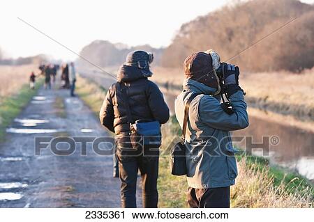 Bird Watchers At Shapwick Heath; Glastonbury, Somerset, Uk View Large Photo Image Stock Image - Bird Watchers At Shapwick Heath; Glastonbury, Somerset, Uk. Fotosearch