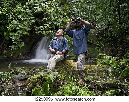 Bird watching; West New Britain, Papua New Guinea View Large Photo Image Stock Photography - Bird watching; West New Britain, Papua New Guinea. Fotosearch