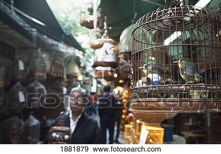 Stock Photo - Birds In Cage At Market. Fotosearch