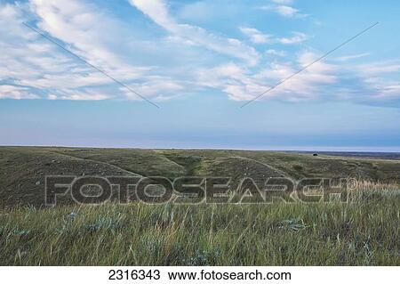 Stock Image - Bison Walking In The Distance On The Prairies In Grasslands National Park; Saskatchewan Canada. Fotosearch