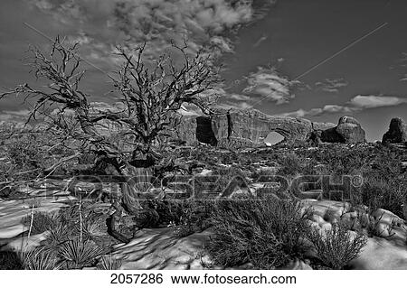 Black And White Image Of North Window Arch, Arches National Park, Utah. View Large Photo Image Stock Photograph - Black And White Image Of North Window Arch, Arches National Park, Utah.. Fotosearch