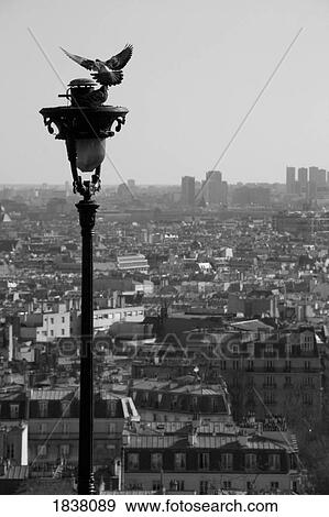 Stock Photo - Black And White View Of Paris; Paris, France. Fotosearch