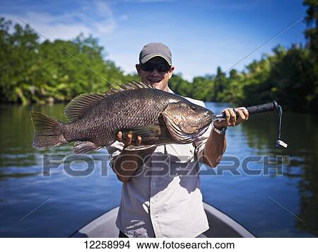 Black Barramundi (Lates calcarifer) fishing in the rivers of West New Britain; Papua New Guinea View Large Photo Image Picture - Black Barramundi (Lates calcarifer) fishing in the rivers of West New Britain; Papua New Guinea. Fotosearch