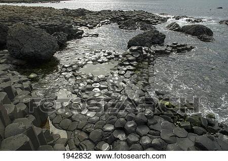 Stock Image - Black Basalt Columns Sticking Out Of The Sea, Giant's Causeway, Northern Ireland, United Kingdom. Fotosearch