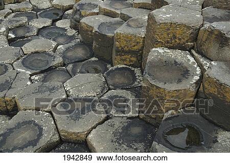Black Basalt Columns Sticking Out Of The Sea, Giant's Causeway, Northern Ireland, United Kingdom View Large Photo Image Stock Photo - Black Basalt Columns Sticking Out Of The Sea, Giant's Causeway, Northern Ireland, United Kingdom. Fotosearch