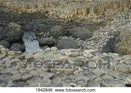 Stock Photograph - Black Basalt Columns Sticking Out Of The Sea, Giant's Causeway, Northern Ireland, United Kingdom. Fotosearch