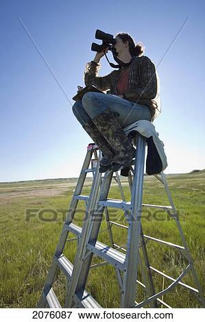 Black-Tailed Prairie Dog (Endangered) Researcher Doing A Population Count In Grasslands National Park; Saskatchewan Canada View Large Photo Image Stock Photo - Black-Tailed Prairie Dog (Endangered) Researcher Doing A Population Count In Grasslands National Park; Saskatchewan Canada. Fotosearch