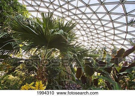 Stock Image - Bloedel Conservatory At Queen Elizabeth Park, Vancouver, British Columbia, Canada. Fotosearch