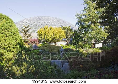 Bloedel Conservatory At Queen Elizabeth Park, Vancouver, British Columbia, Canada View Large Photo Image Stock Image - Bloedel Conservatory At Queen Elizabeth Park, Vancouver, British Columbia, Canada. Fotosearch