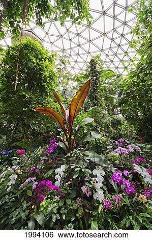 Bloedel Conservatory At Queen Elizabeth Park, Vancouver, British Columbia, Canada View Large Photo Image Stock Photograph - Bloedel Conservatory At Queen Elizabeth Park, Vancouver, British Columbia, Canada. Fotosearch