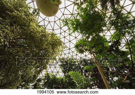 Bloedel Conservatory At Queen Elizabeth Park, Vancouver, British Columbia, Canada View Large Photo Image Stock Photography - Bloedel Conservatory At Queen Elizabeth Park, Vancouver, British Columbia, Canada. Fotosearch