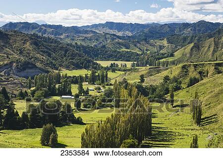 Blue Duck Lodge, A Working New Zealand Farm Located In The Whanganui National Park; Whakahoro, New Zealand View Large Photo Image Picture - Blue Duck Lodge, A Working New Zealand Farm Located In The Whanganui National Park; Whakahoro, New Zealand. Fotosearch