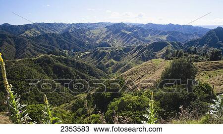 Blue Duck Lodge, A Working New Zealand Farm Located In The Whanganui National Park; Whakahoro, New Zealand View Large Photo Image Stock Image - Blue Duck Lodge, A Working New Zealand Farm Located In The Whanganui National Park; Whakahoro, New Zealand. Fotosearch