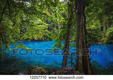 Blue hole; Santo Island, Vanuatu View Large Photo Image Stock Image - Blue hole; Santo Island, Vanuatu. Fotosearch