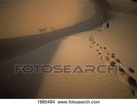 Picture - Blue Man And Camel Walking Up Dune In The Desert. Fotosearch