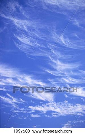 Blue Sky With Horse-Tail Wispy Clouds A35B View Large Photo Image Stock Image - Blue Sky With Horse-Tail Wispy Clouds A35B. Fotosearch