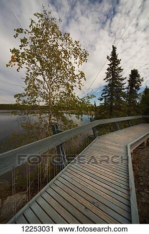 Stock Image - Boardwalk by a lake; Yellowknife, Northwest Territories, Canada. Fotosearch