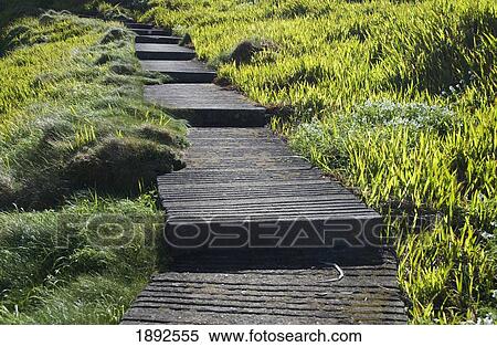 Stock Photography - Boardwalk Through Meadow. Fotosearch