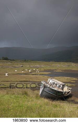 Boat In Field, Island Of Mull; Island Of Mull, Scotland View Large Photo Image Stock Image - Boat In Field, Island Of Mull; Island Of Mull, Scotland. Fotosearch