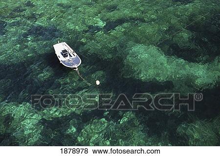 Boat Moored In Green Sea View Large Photo Image Stock Photo - Boat Moored In Green Sea. Fotosearch