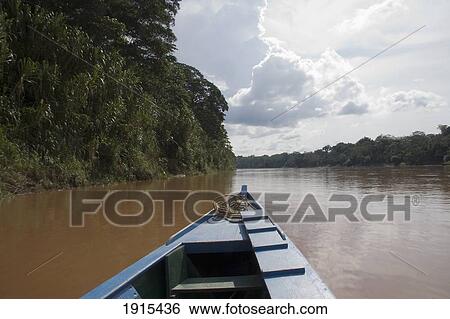 Boat On Rio Tambopata, Tributary Of Amazon River View Large Photo Image Stock Photograph - Boat On Rio Tambopata, Tributary Of Amazon River. Fotosearch