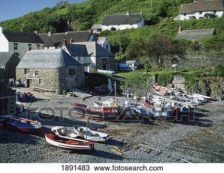 Boats At Low Tide In Harbour At Cadgwith View Large Photo Image Stock Image - Boats At Low Tide In Harbour At Cadgwith. Fotosearch