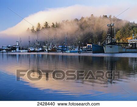 Boats dock at Winchester Bay; Oregon, United States of America View Large Photo Image Stock Image - Boats dock at Winchester Bay; Oregon, United States of America. Fotosearch