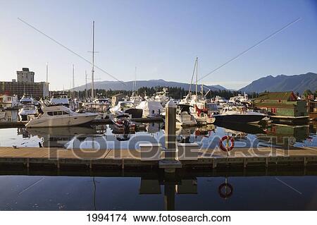 Boats In Coal Harbor Marina, Vancouver, British Columbia, Canada View Large Photo Image Picture - Boats In Coal Harbor Marina, Vancouver, British Columbia, Canada. Fotosearch