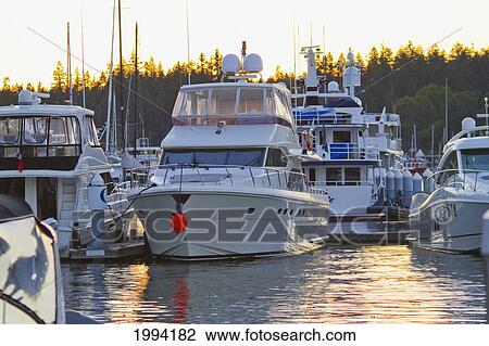 Boats In Coal Harbor Marina, Vancouver, British Columbia, Canada View Large Photo Image Stock Image - Boats In Coal Harbor Marina, Vancouver, British Columbia, Canada. Fotosearch