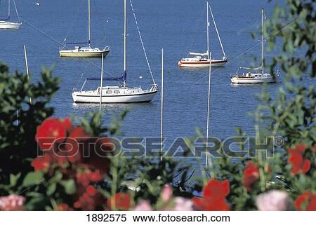 Boats In Harbor At Southend On Sea View Large Photo Image Stock Photography - Boats In Harbor At Southend On Sea. Fotosearch