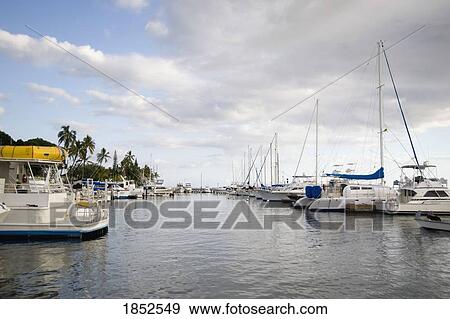 Stock Photo - Boats In Marina, Maui, Hawaii, Usa. Fotosearch