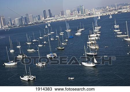Boats In Marina With Downtown Skyline View Large Photo Image Stock Image - Boats In Marina With Downtown Skyline. Fotosearch