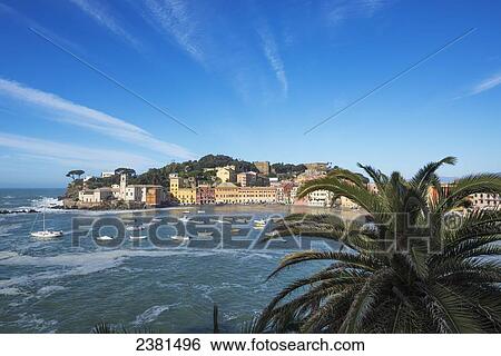 Stock Photograph - Boats in the harbour along the coast of Cinque Terre; Sestri Levante, Liguria, Italy. Fotosearch