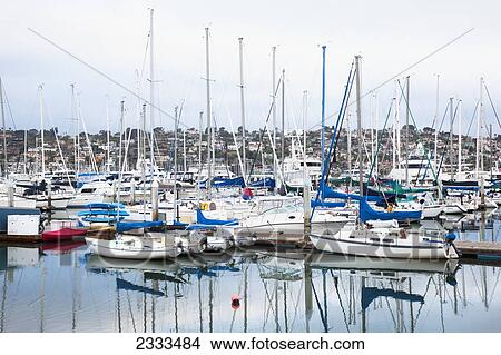 Picture - Boats In The Harbour And Houses On A Hill; San Diego, California, United States Of America. Fotosearch