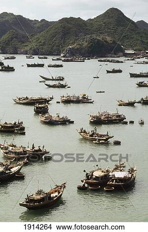 Picture - Boats In The Port. Fotosearch