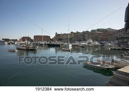 Picture - Boats Moored In The Harbor; Santa Margherita, Liguria, Italy. Fotosearch