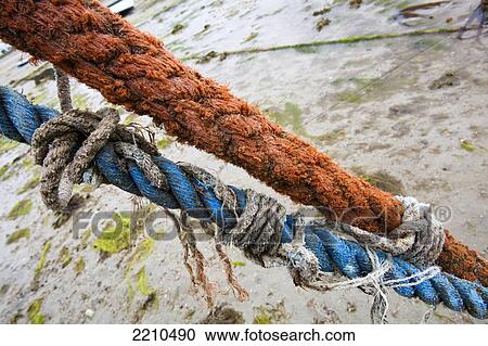 Stock Image - Boats moored on the North Brittany coast near Plougrescant on th Cotes D'Armor, France. Fotosearch