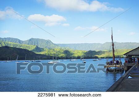 Boats mooring in a harbour off the coast of an hawaiian island; Hawaii, United States of America View Large Photo Image Stock Image - Boats mooring in a harbour off the coast of an hawaiian island; Hawaii, United States of America. Fotosearch